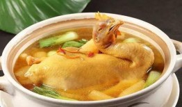 娱乐吃瓜酱鸡汤视频大全,鸡汤视频大全，暖心治愈你的日常